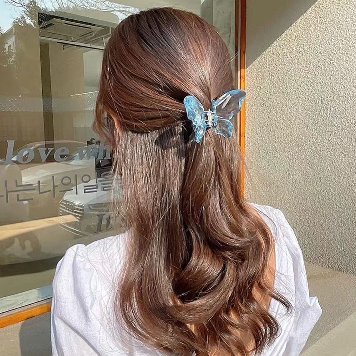 Acrylic Butterfly Claw Clip