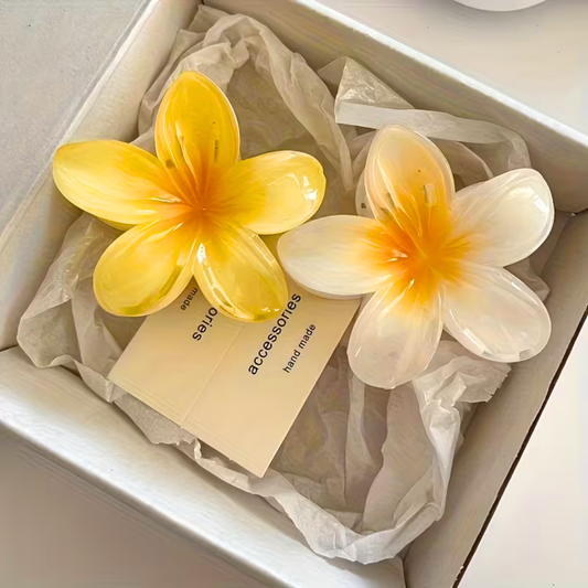 2pcs Sun Kissed Hawaiian Clip