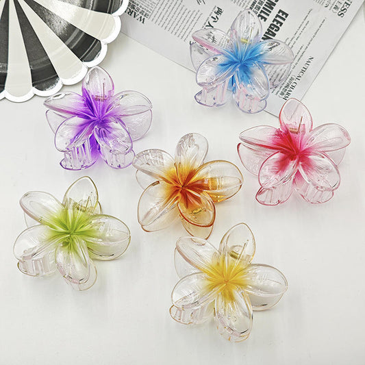 Transparent Flower Hair Claw